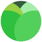 Cabbage SVG Icon